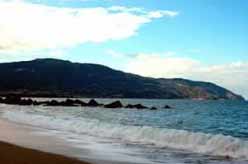 Mongiove