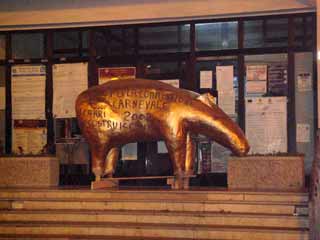 Il tapiro dinanzi al comune
